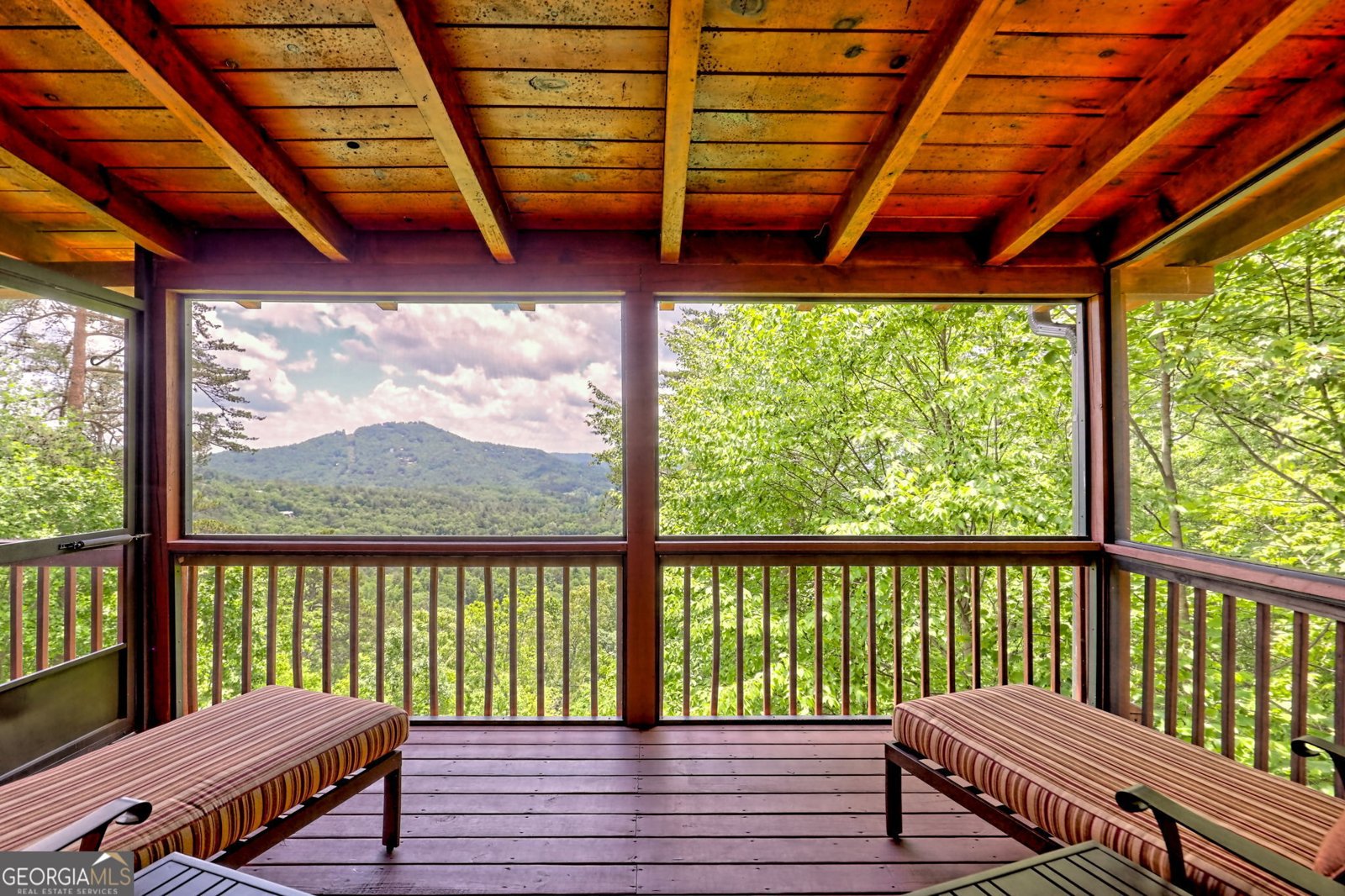 601 Black Bear Den Road Clayton - 35