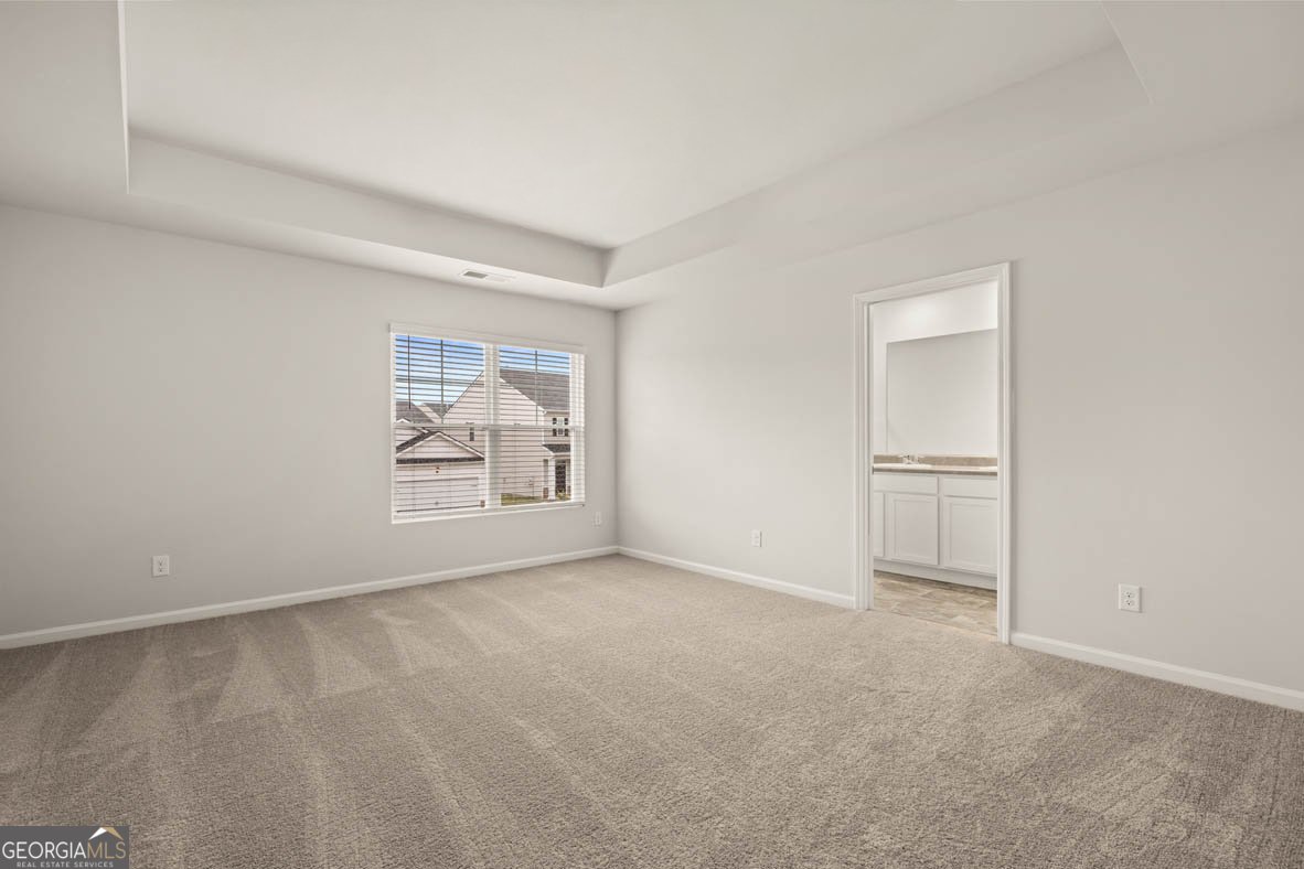 252 Lauritsen Way Newnan - 9