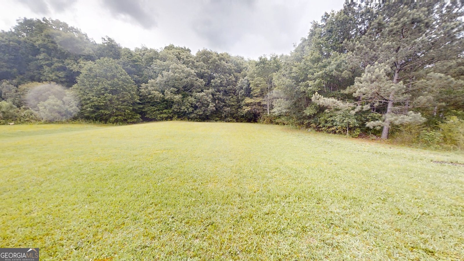 150 Mills Creek Lane Covington - 34