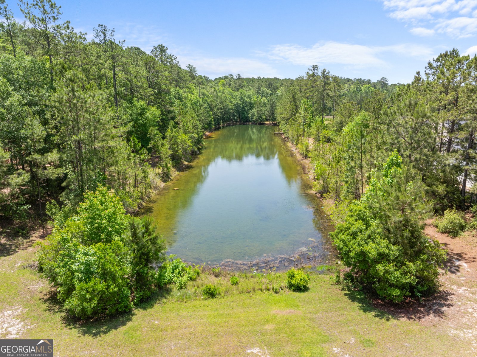 784 Ebenezer Road Rincon - 40