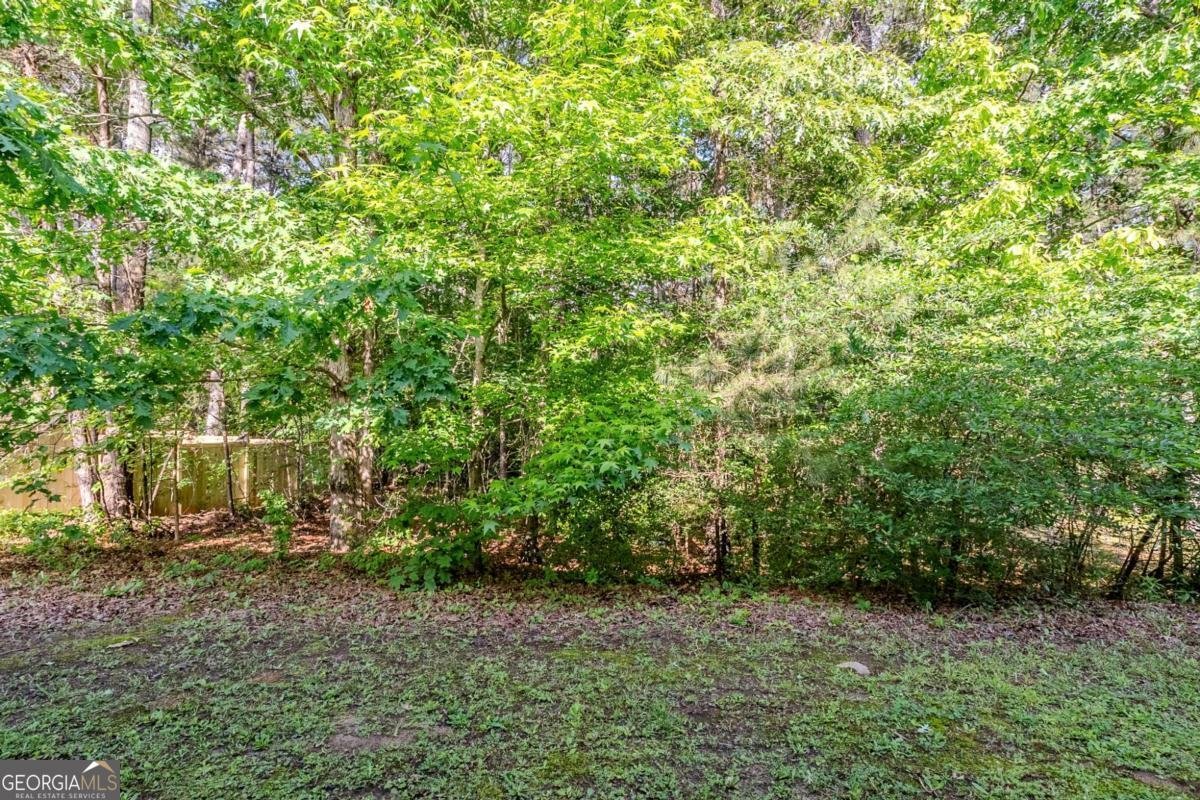 6285 Polar Fox Court Riverdale - 44