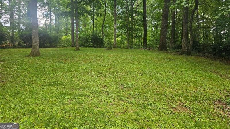 2859 Wood Park Trace Kennesaw - 4