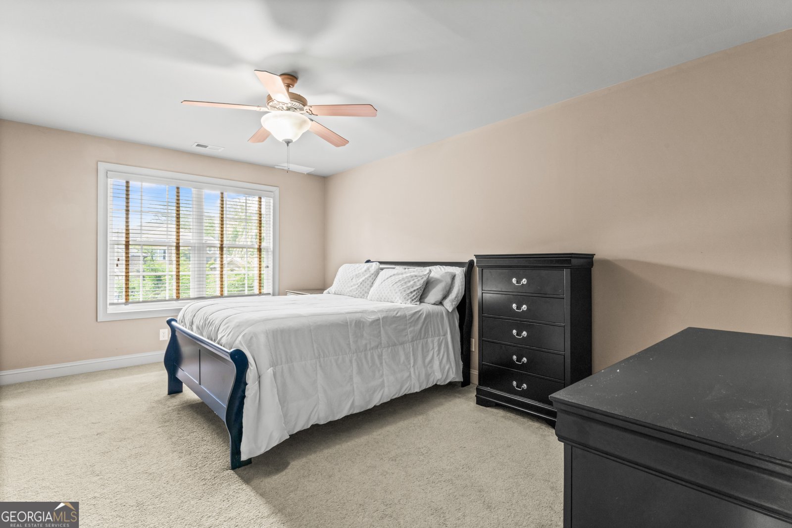 719 Bethpage Drive McDonough - 28