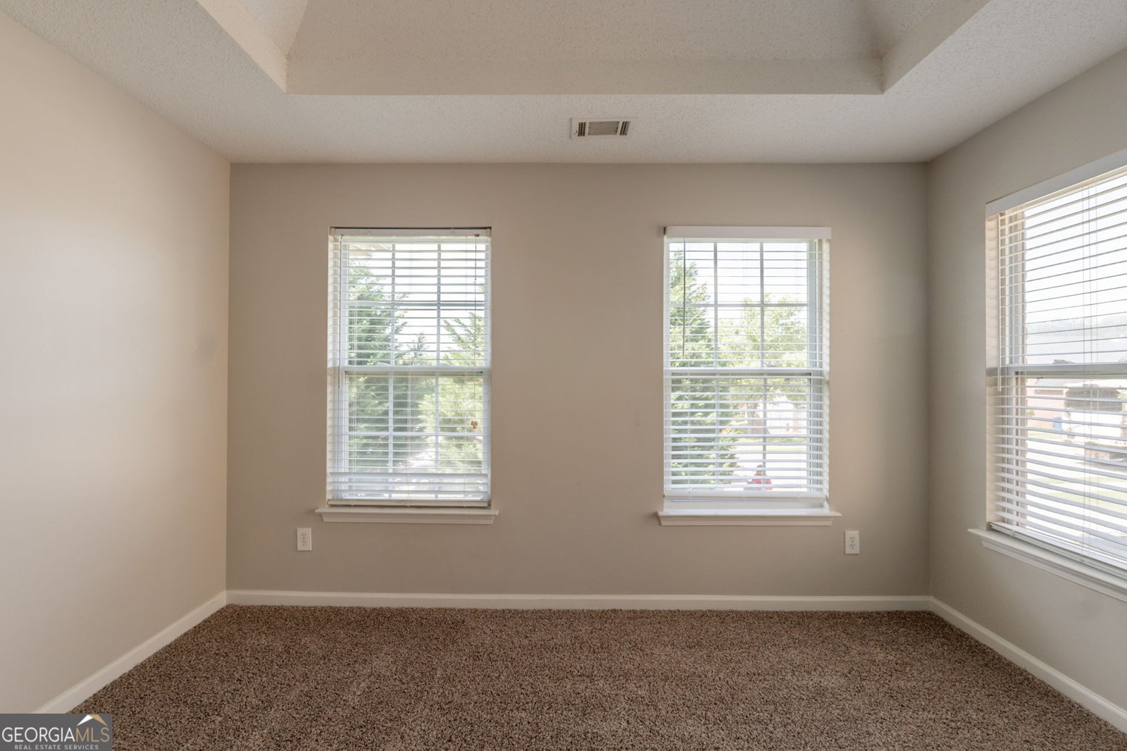 1013 Odelle Circle Mcdonough - 22
