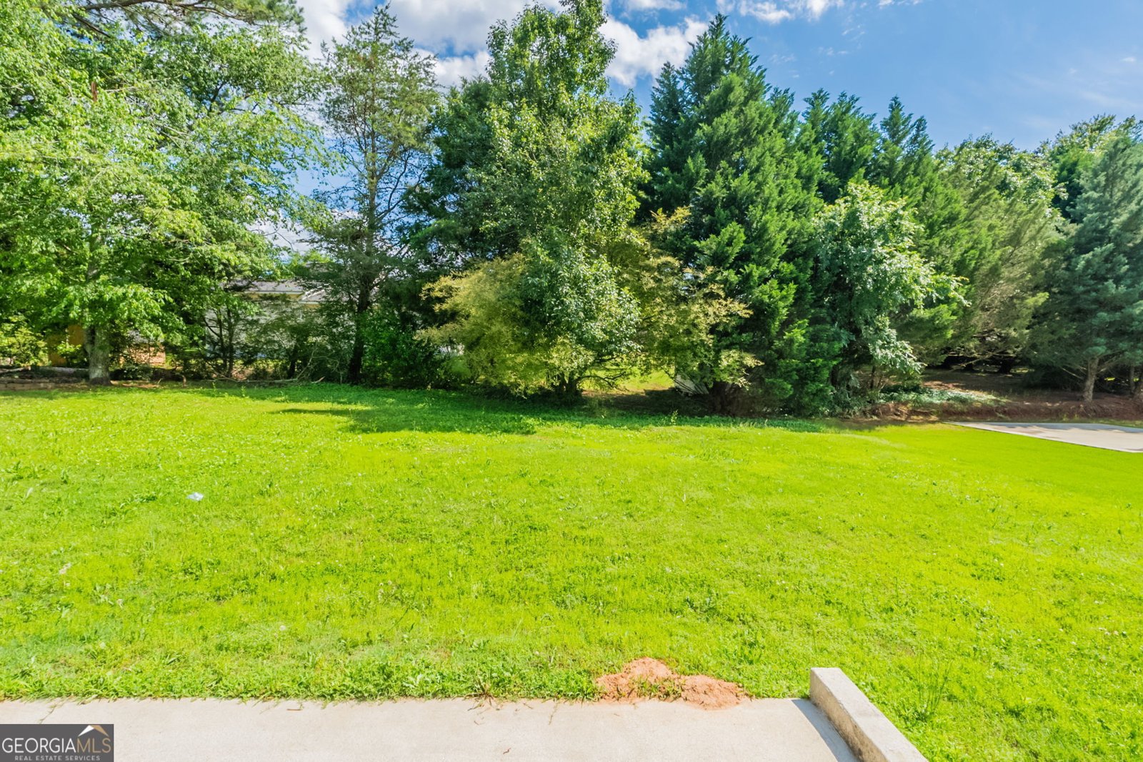 1013 Odelle Circle Mcdonough - 40
