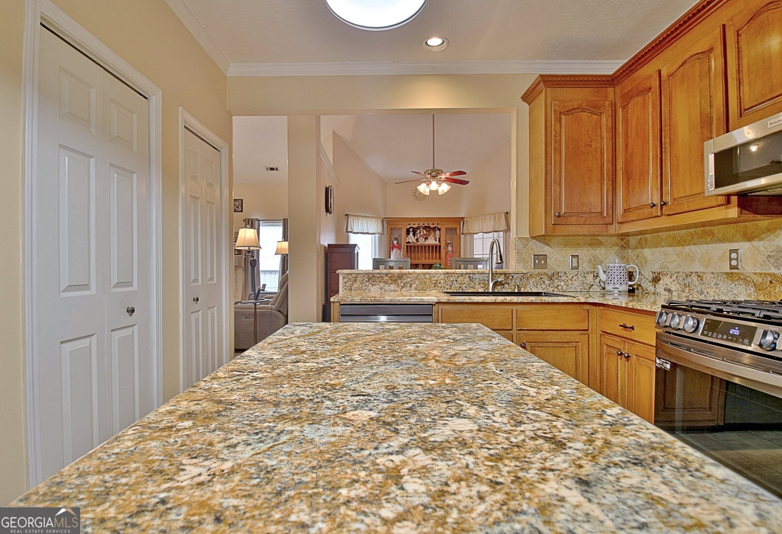 170 Habersham Drive Fayetteville - 20