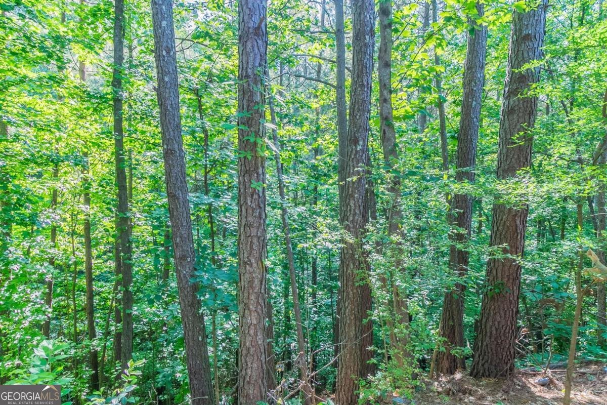 7074 Springgrove Court Austell - 36
