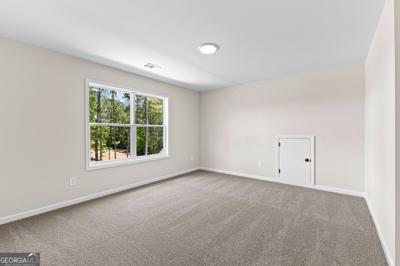 1356 Waymanville Road Thomaston - 43