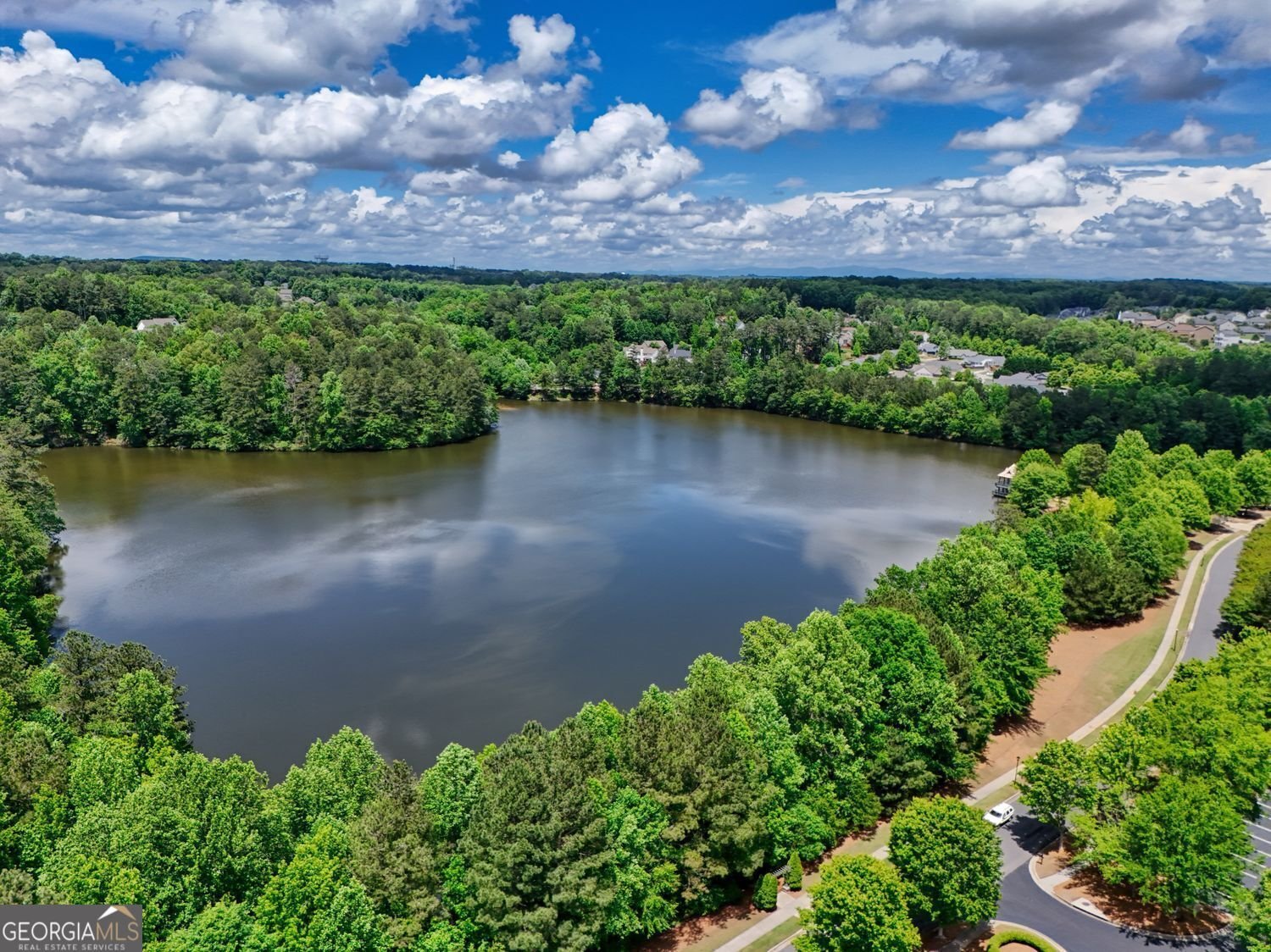 207 Harmony Lake Drive Canton - 16