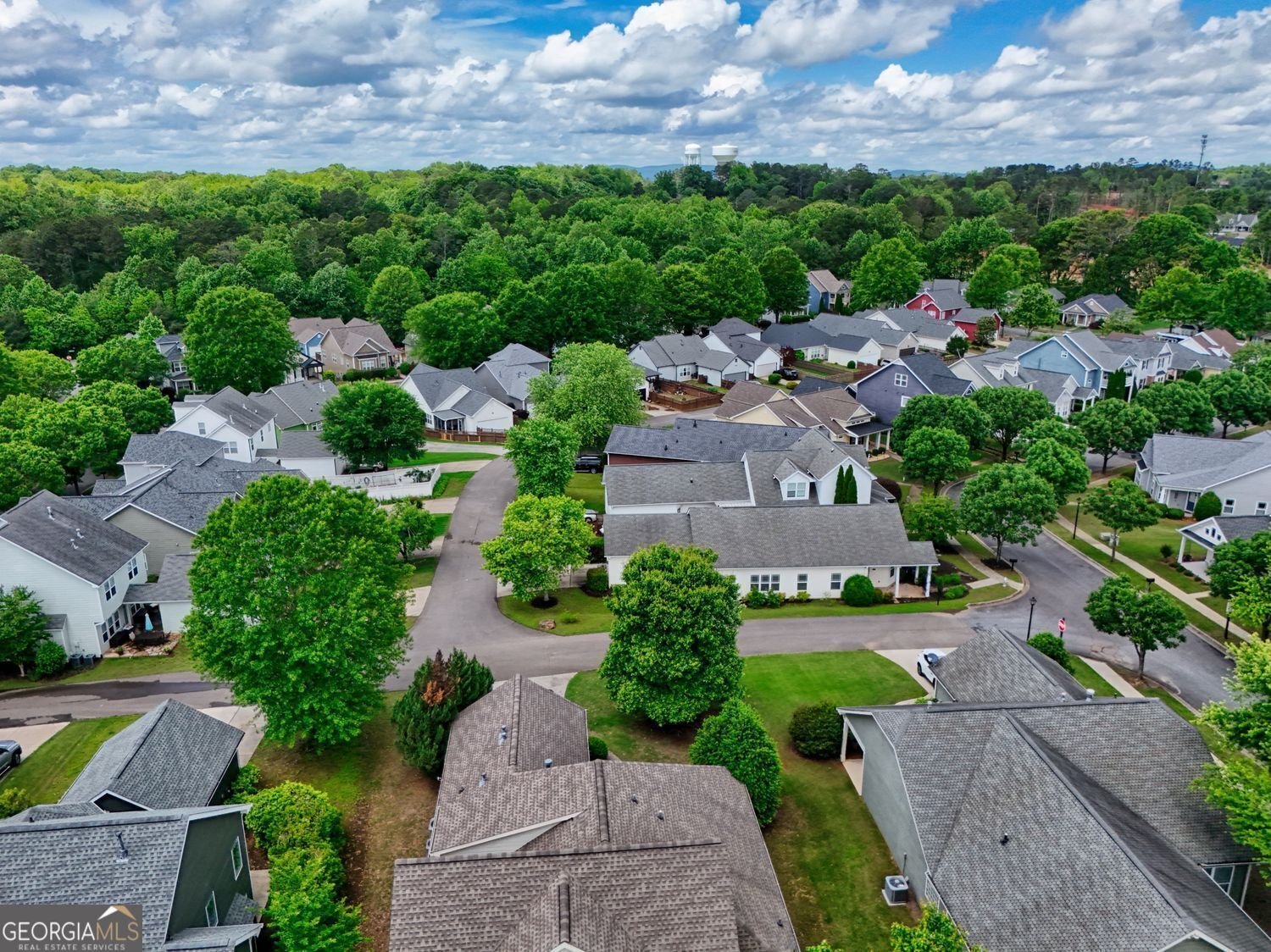 207 Harmony Lake Drive Canton - 4