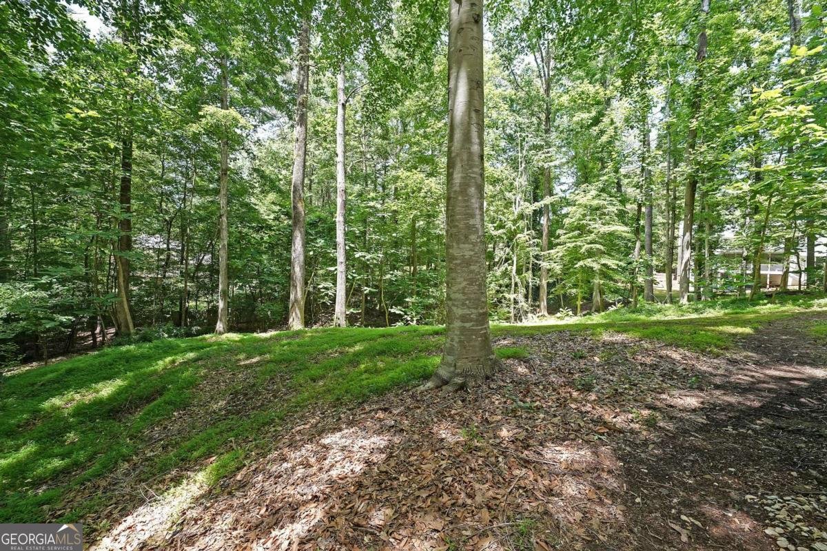 295 LAKEMONT Drive Roswell - 33