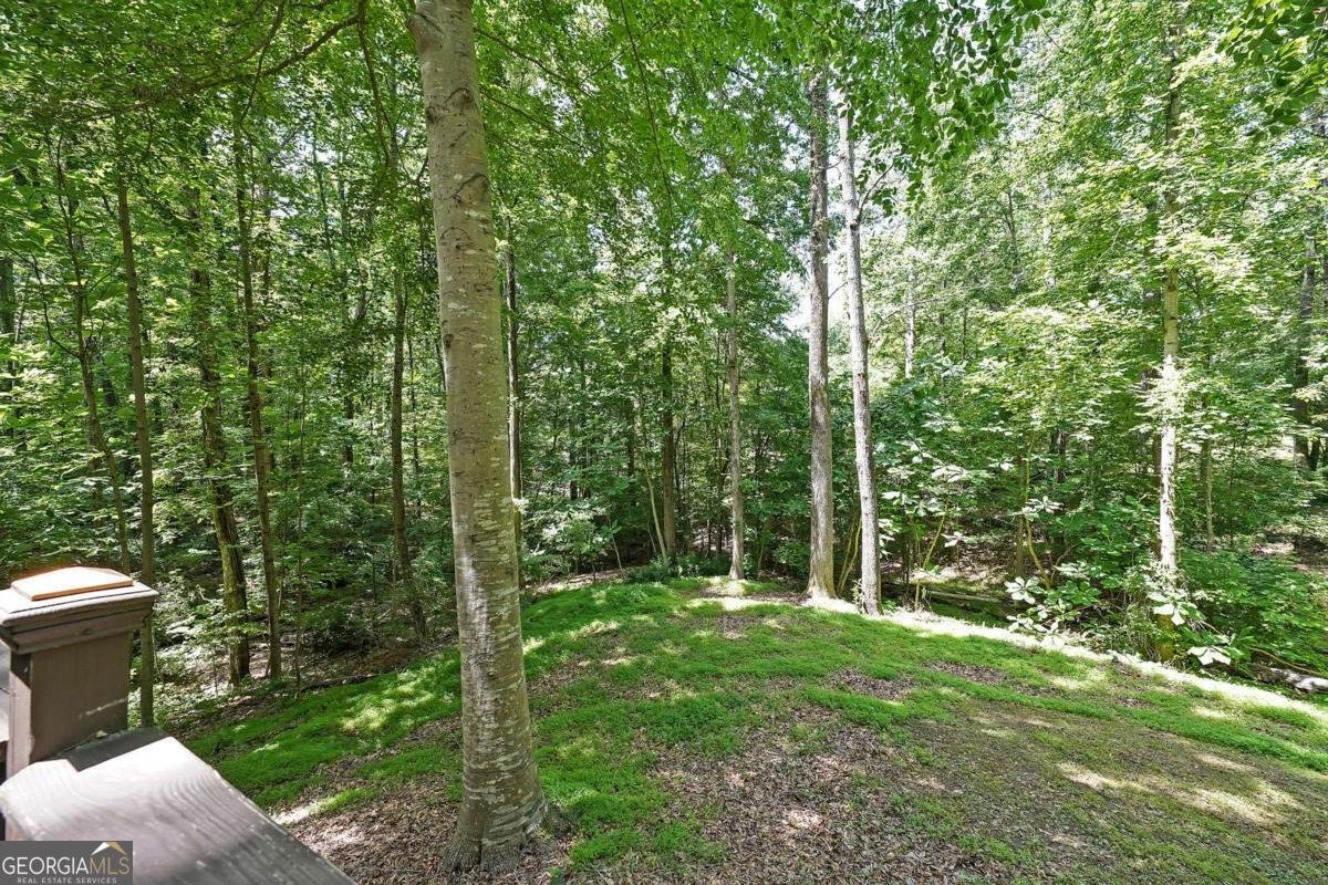 295 LAKEMONT Drive Roswell - 36