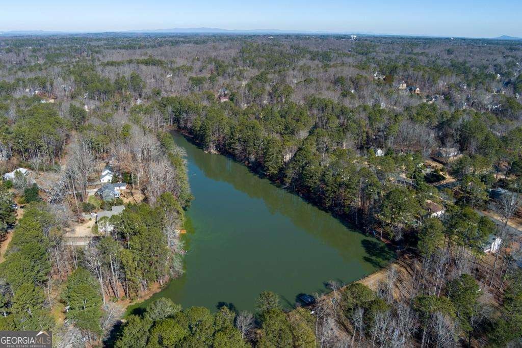295 LAKEMONT Drive Roswell - 39