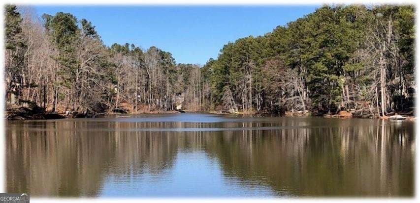295 LAKEMONT Drive Roswell - 40