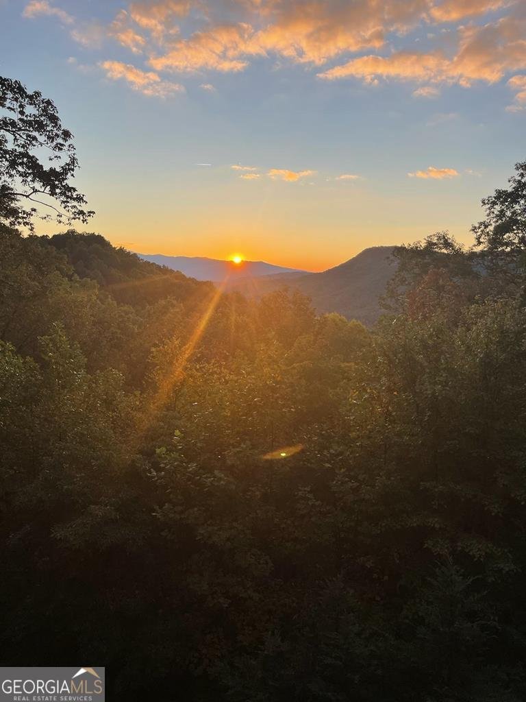 7031 Black Bear Trail Hiawassee - 4