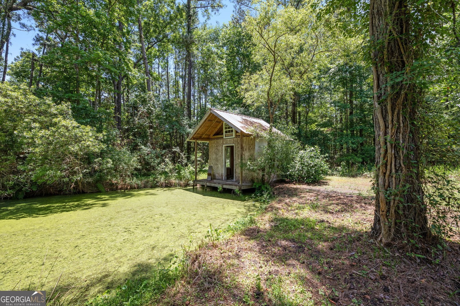 389 Magnolia Drive Waverly - 26