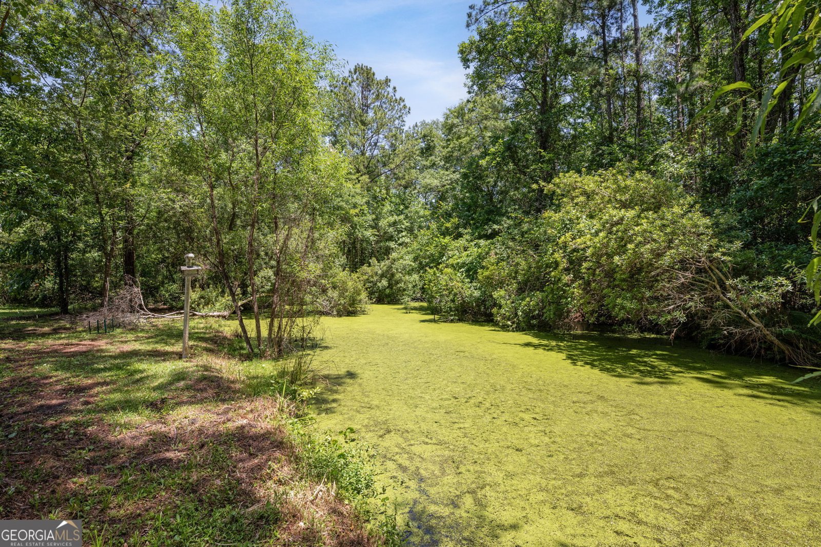 389 Magnolia Drive Waverly - 28