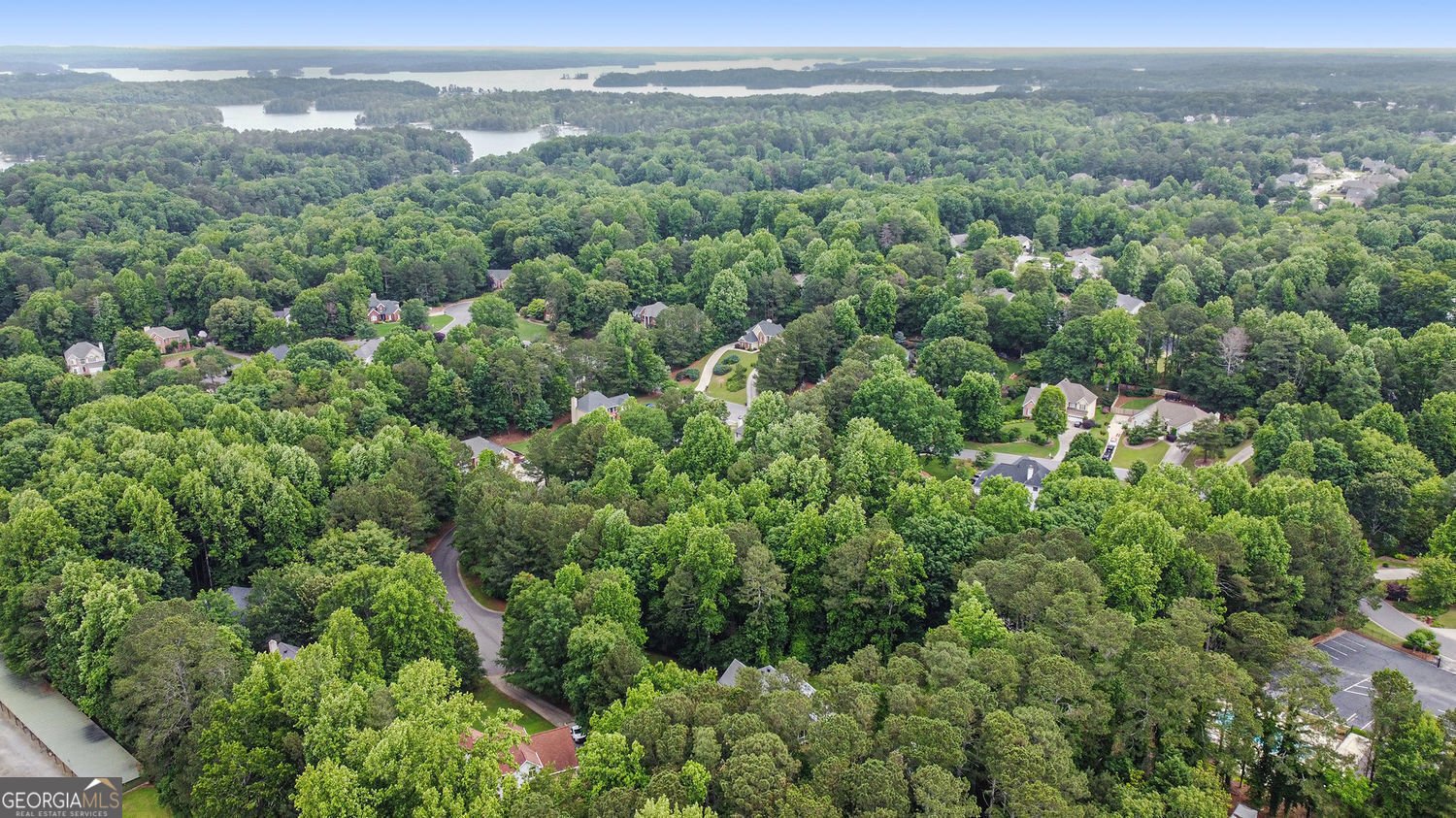 2482 Windchase Court Buford - 29