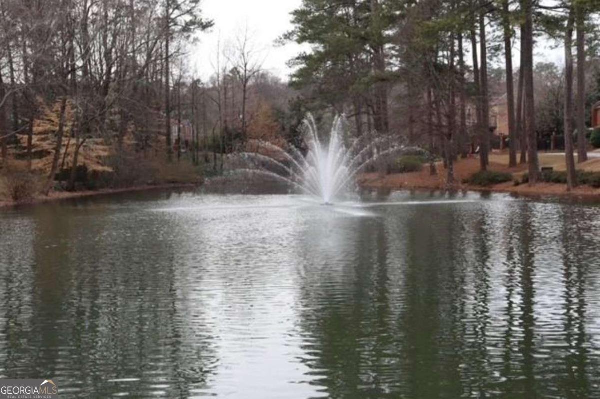 24317 Plantation Drive Atlanta - 33