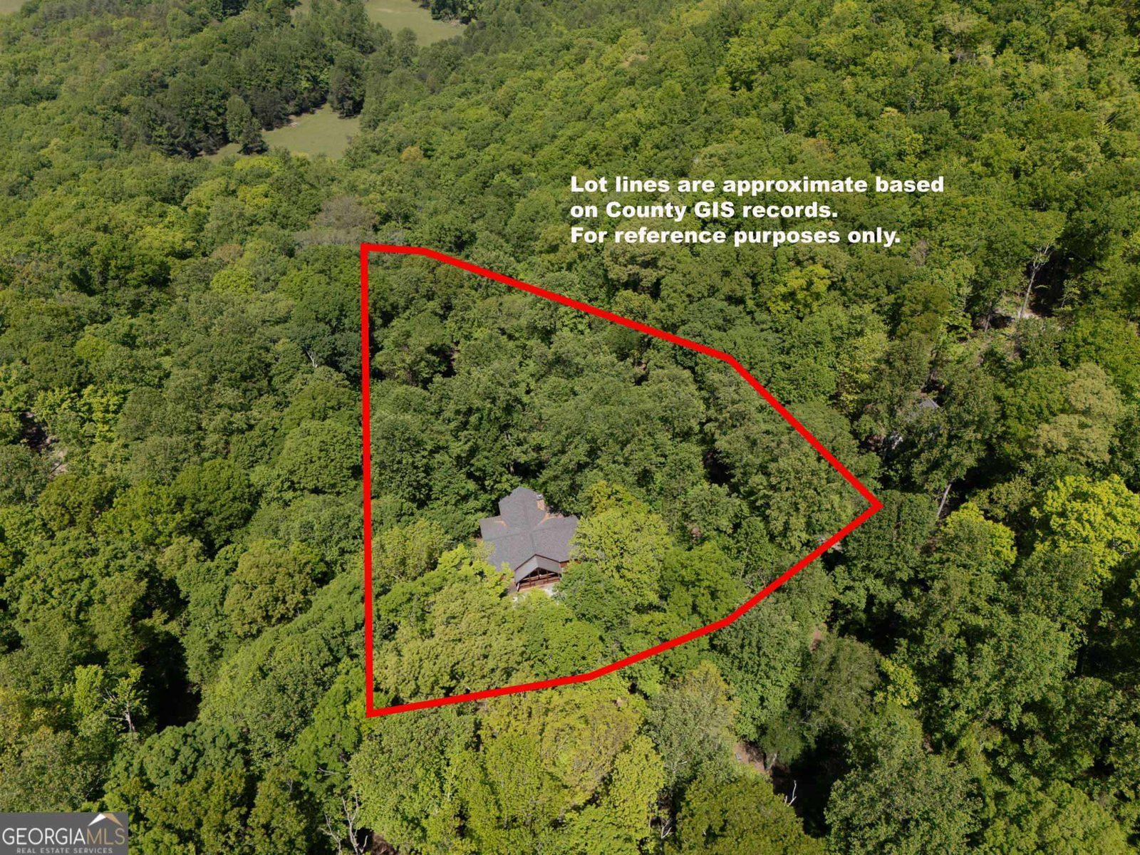 402 Picklesimer Mtn Trail Morganton - 5