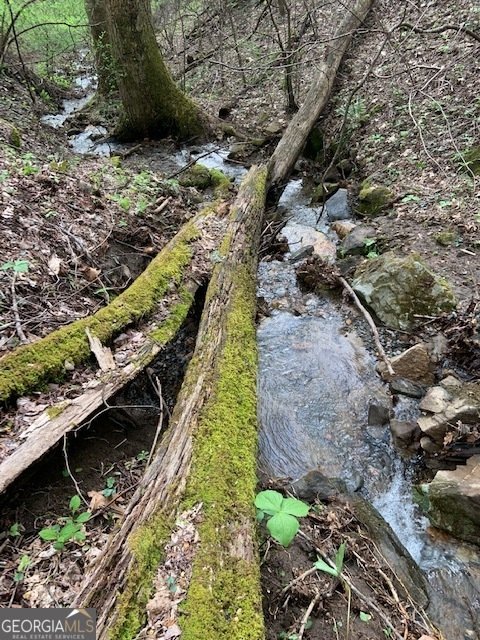 402 Picklesimer Mtn Trail Morganton - 58