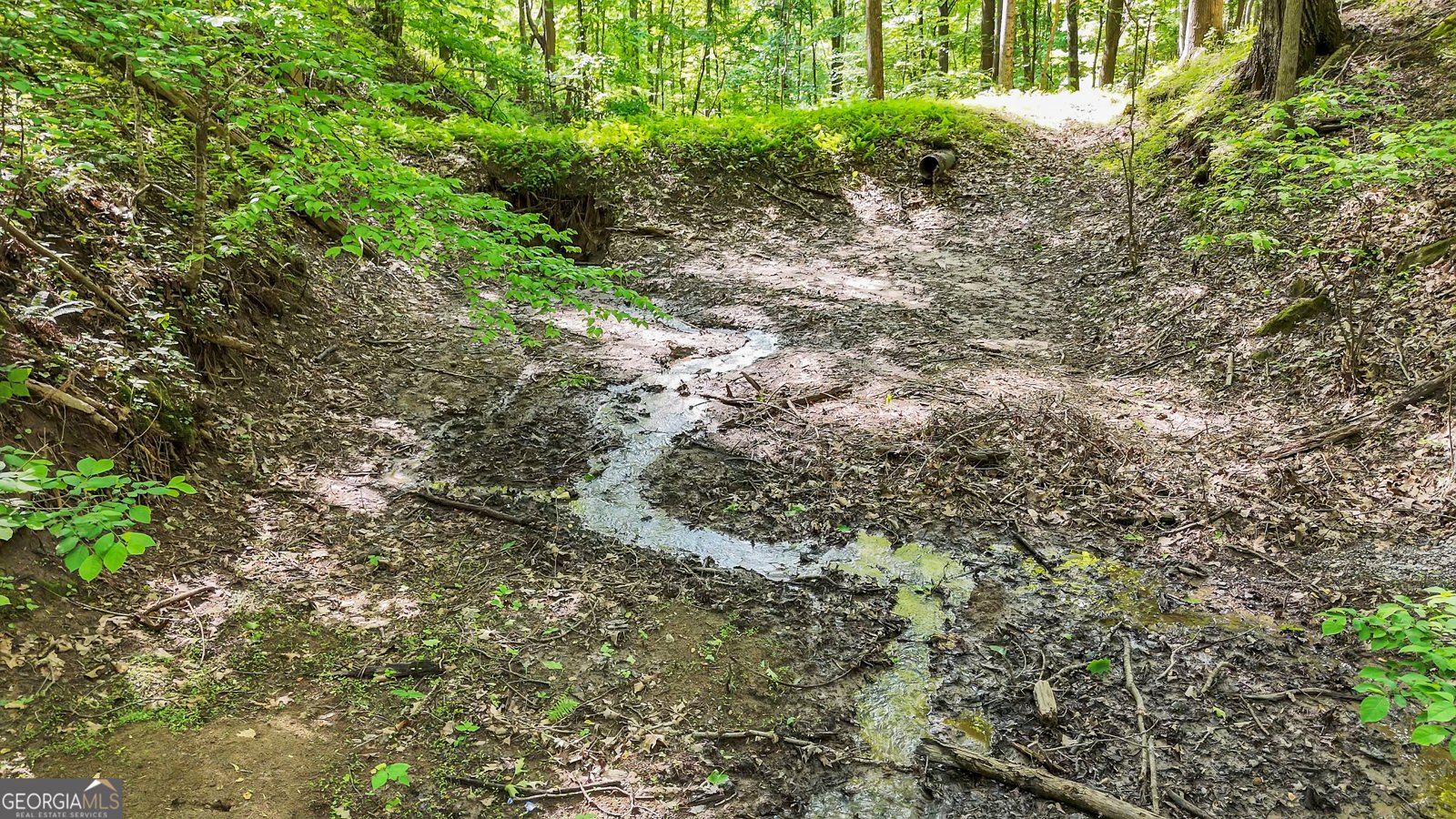 402 Picklesimer Mtn Trail Morganton - 62