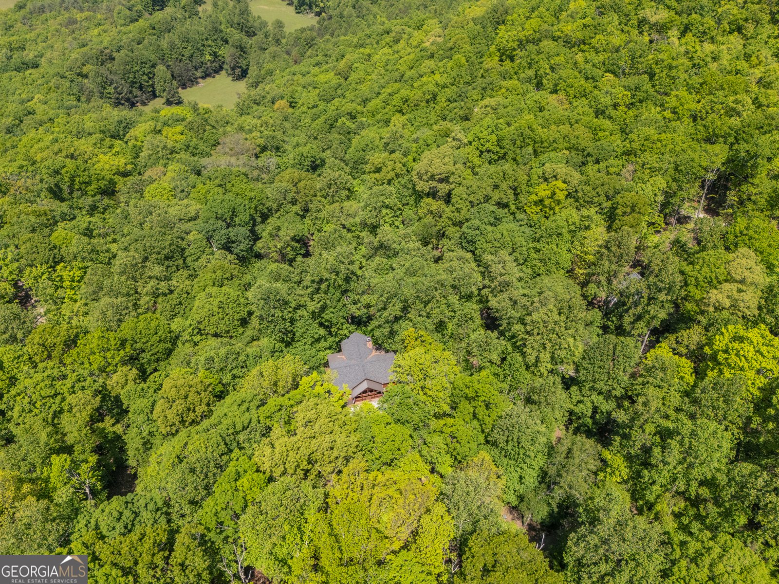 402 Picklesimer Mtn Trail Morganton - 64