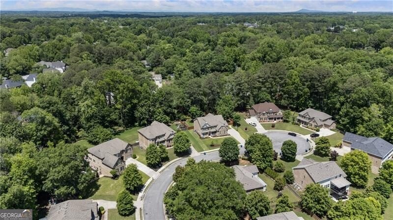 12380 Peyton Farm Way Alpharetta - 62