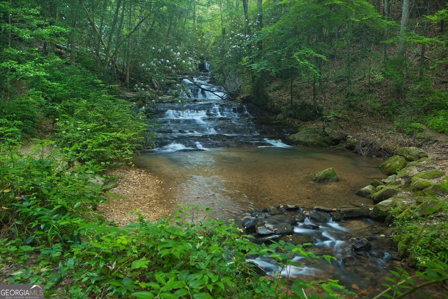 300 Bittersweet Sautee Nacoochee - 39