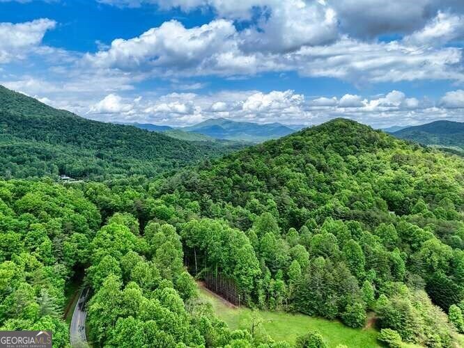 3609 Fodder Creek Road Hiawassee - 64