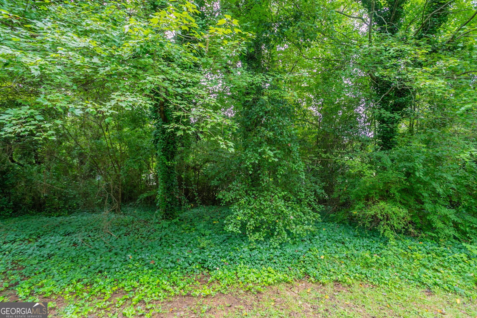 8229 Queens Drive Jonesboro - 15