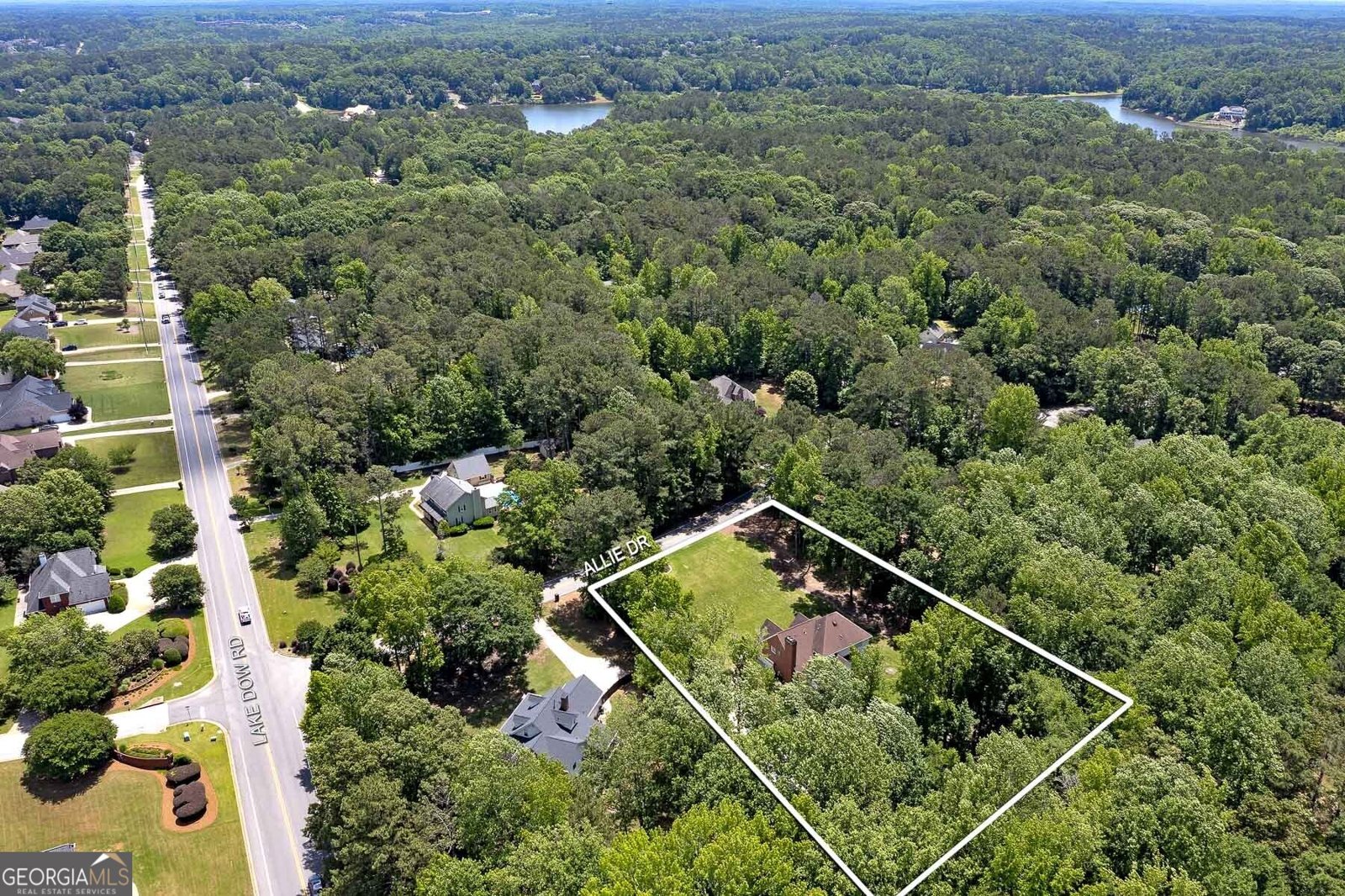 20 Allie Drive McDonough - 62