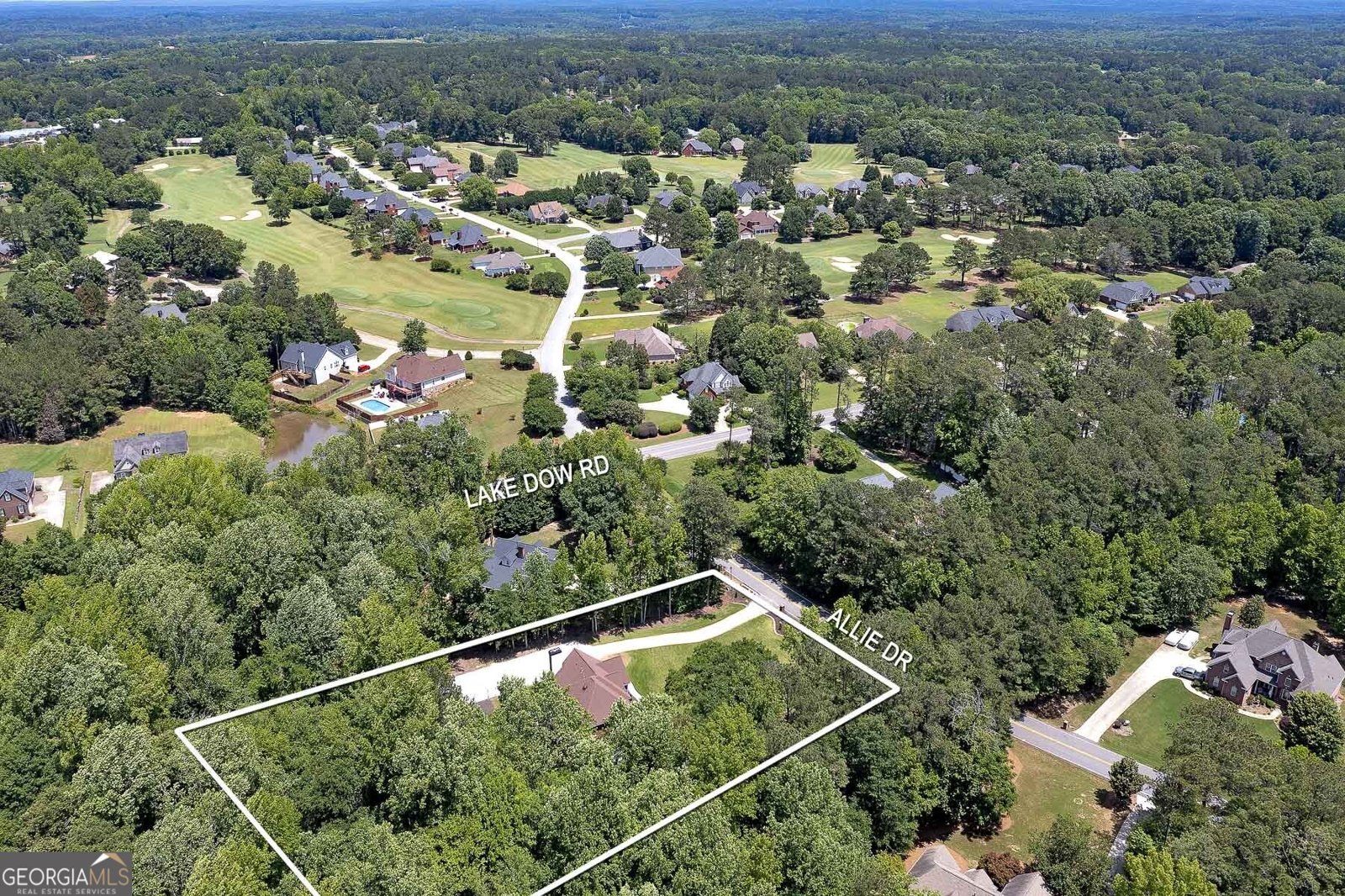 20 Allie Drive McDonough - 63