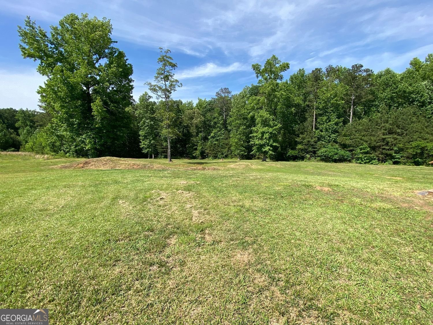 505 Sandhill Hickory Level Road Carrollton - 30
