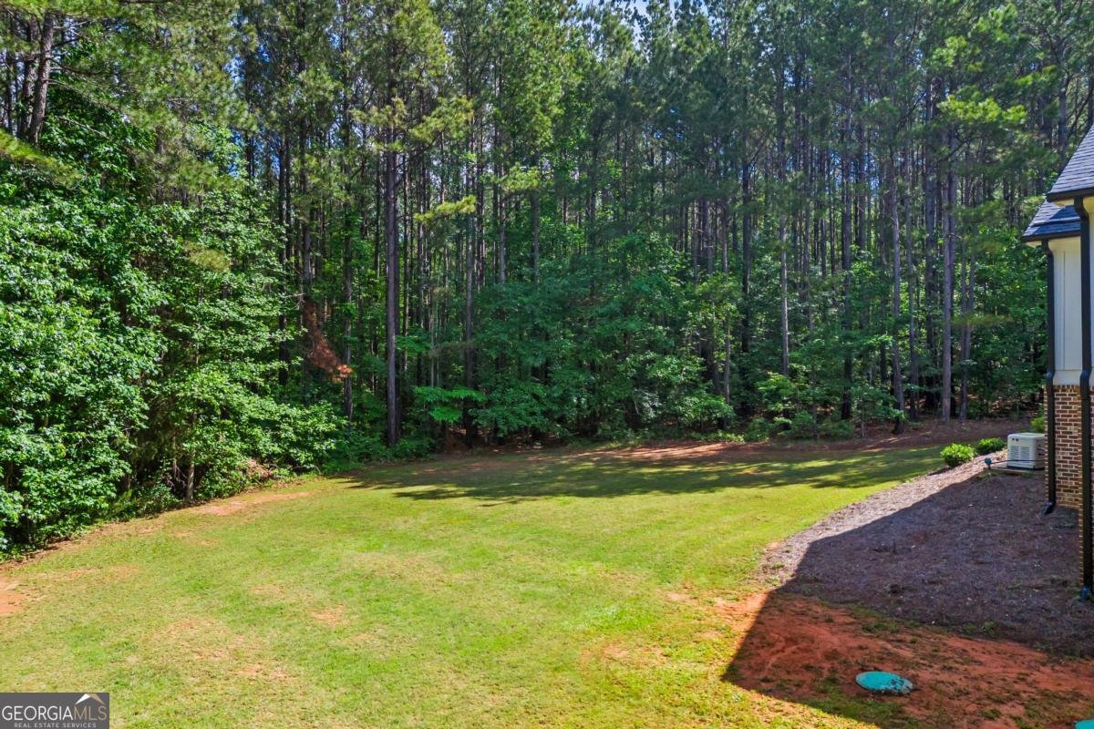 726 Swilling Road Eastanollee - 8