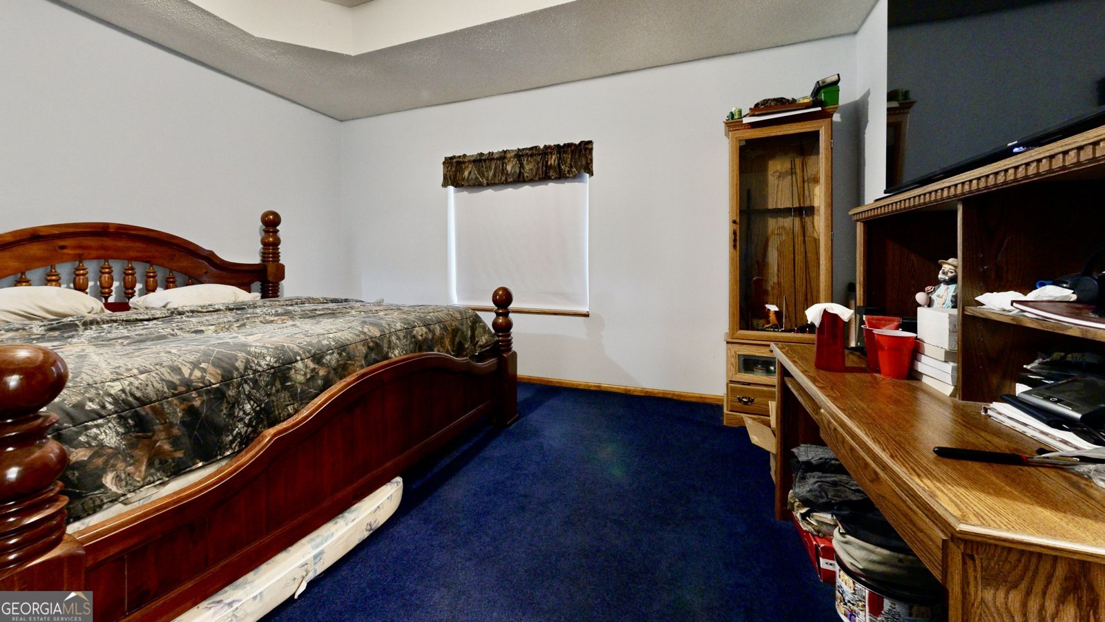 4947 High Bluff Rock Road Hoboken - 10