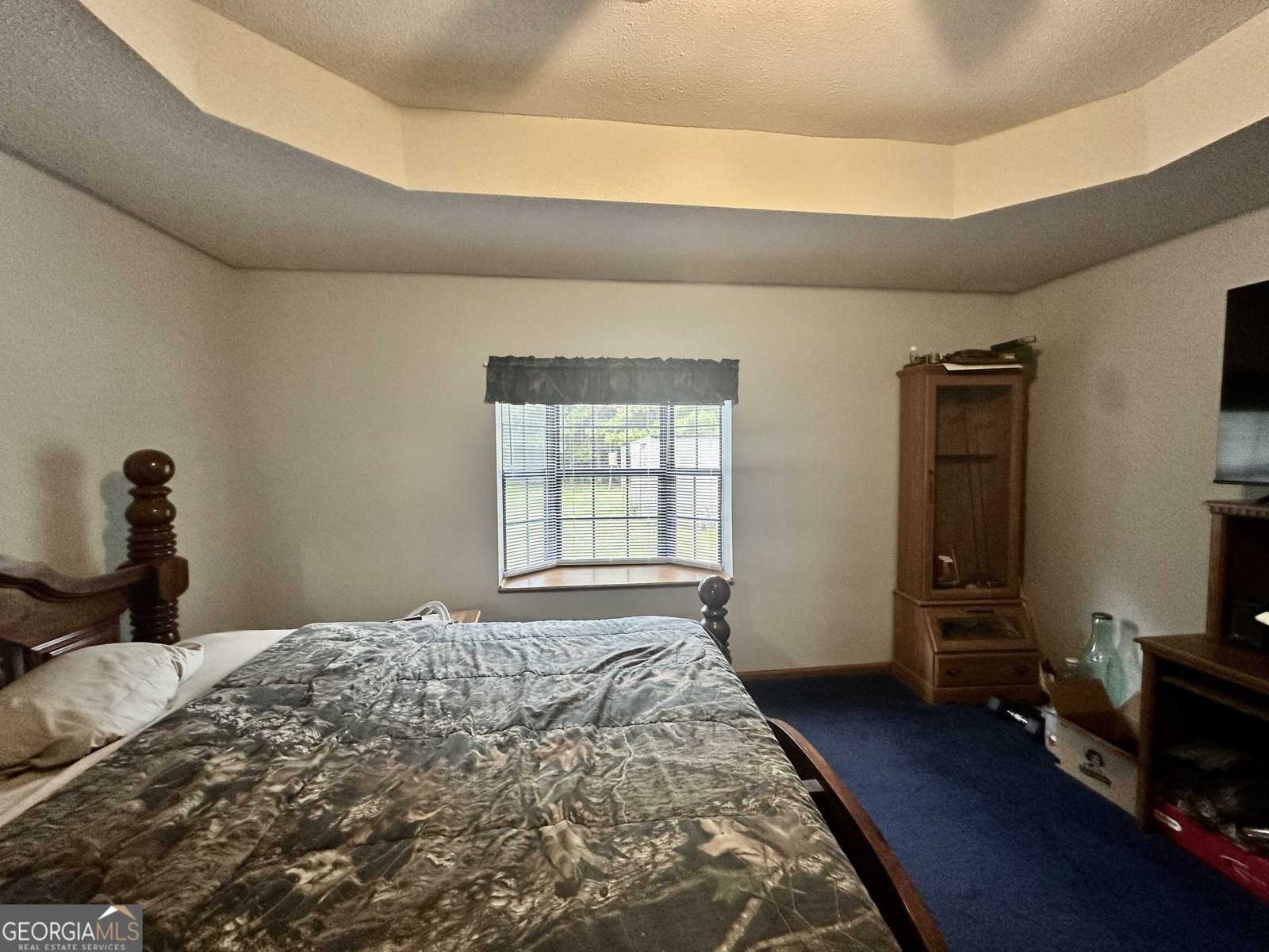 4947 High Bluff Rock Road Hoboken - 8