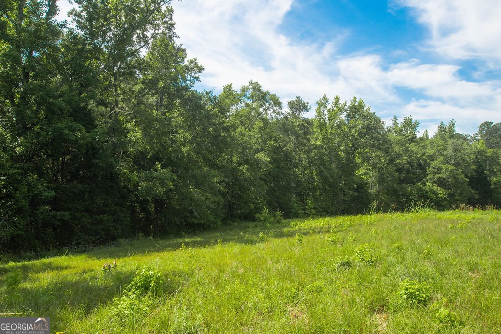 1145 Thurston Snow Road Good Hope - 5