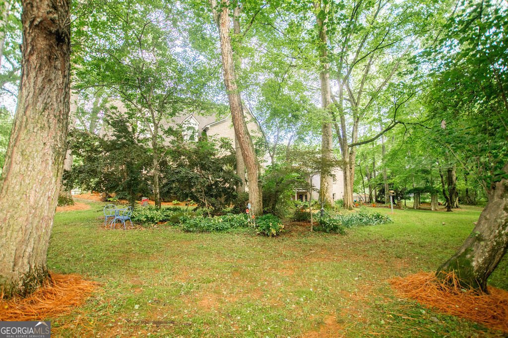 1145 Thurston Snow Road Good Hope - 75