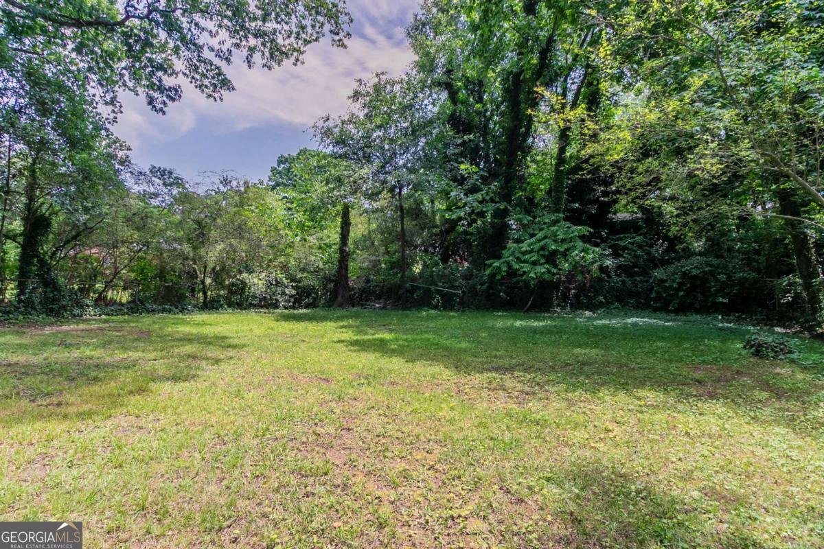 1906 Oak Valley Road Decatur - 21