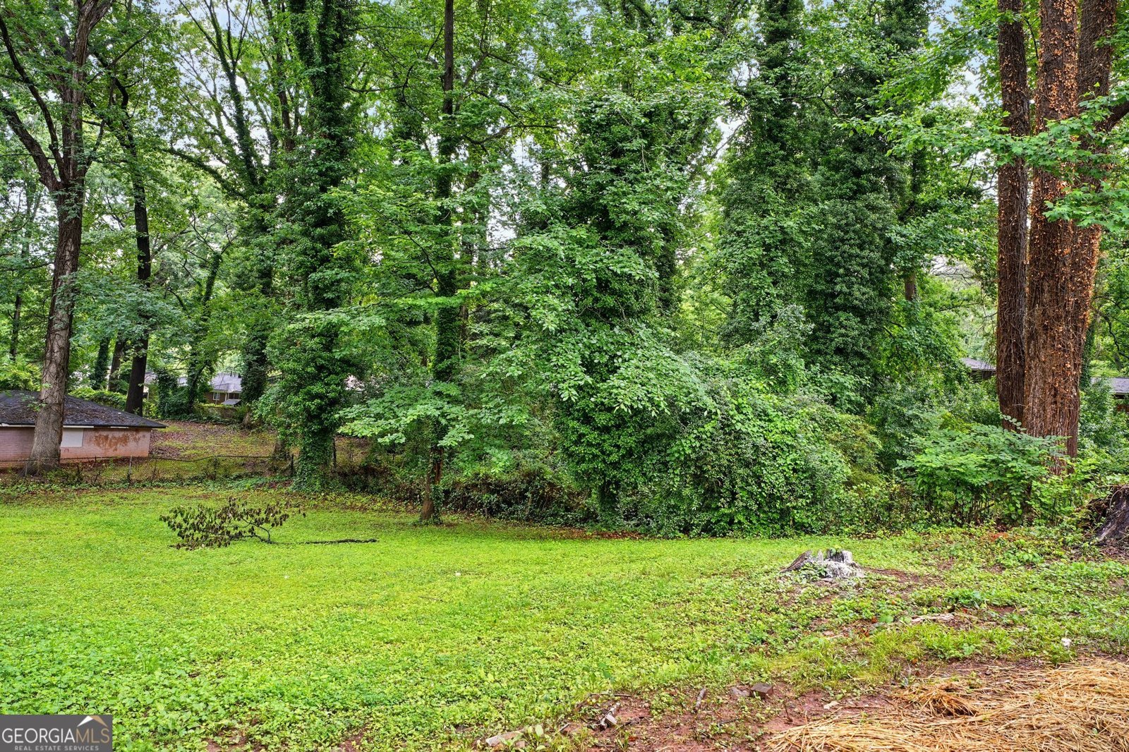 1599 SANDTOWN Road Atlanta - 29