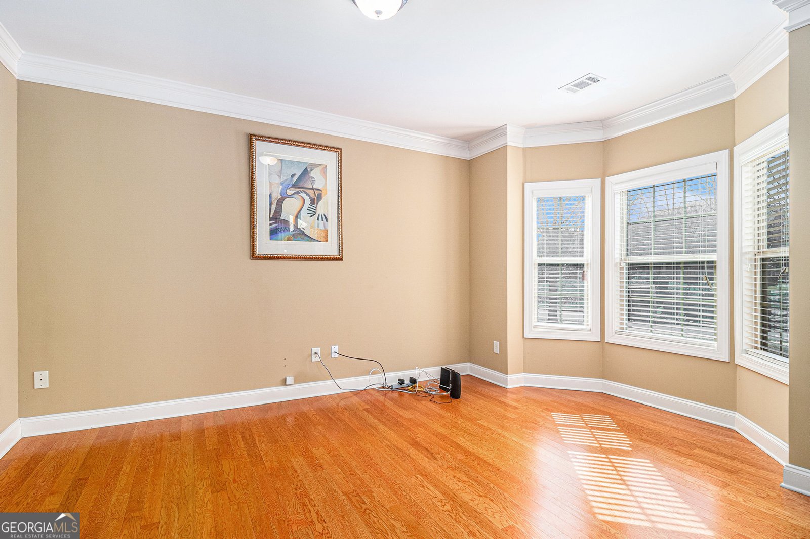 145 Windward Hills McDonough - 3