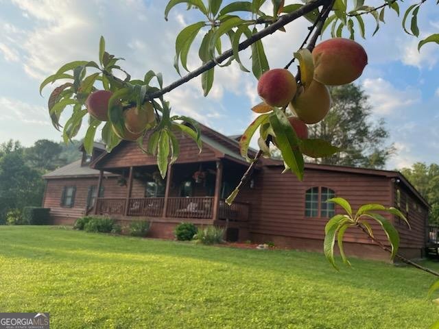 4253 Swallows Creek Road Hiawassee - 73