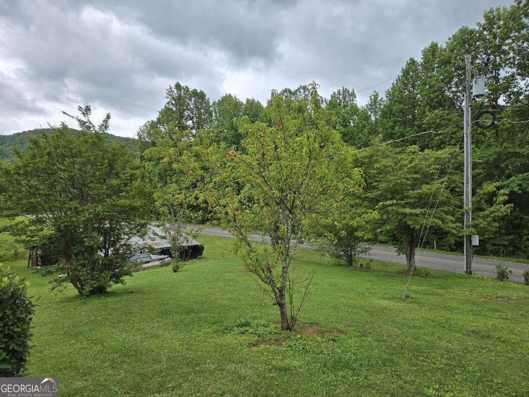 4253 Swallows Creek Road Hiawassee - 74