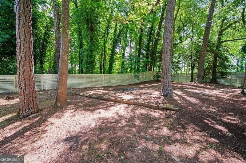 1678 CAPISTRANA Place Decatur - 25