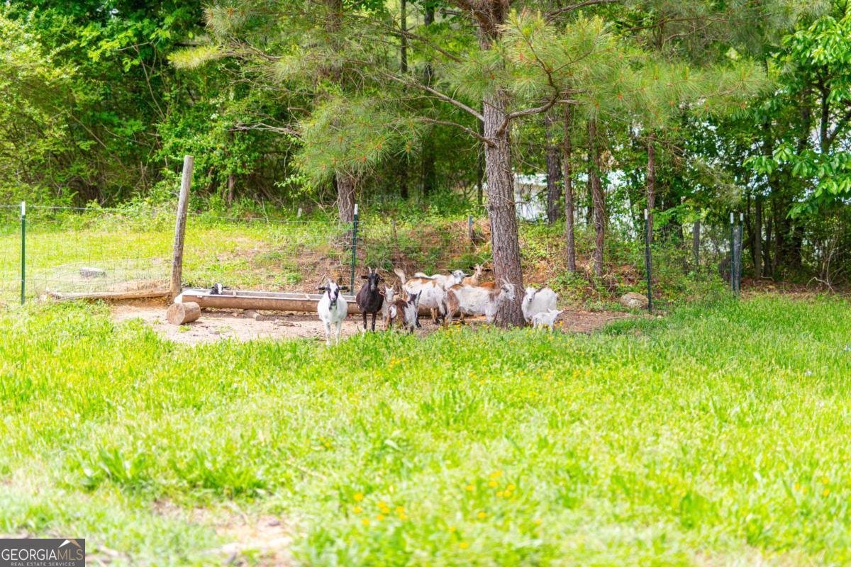 4330 Joe Frank Harris Parkway Adairsville - 45