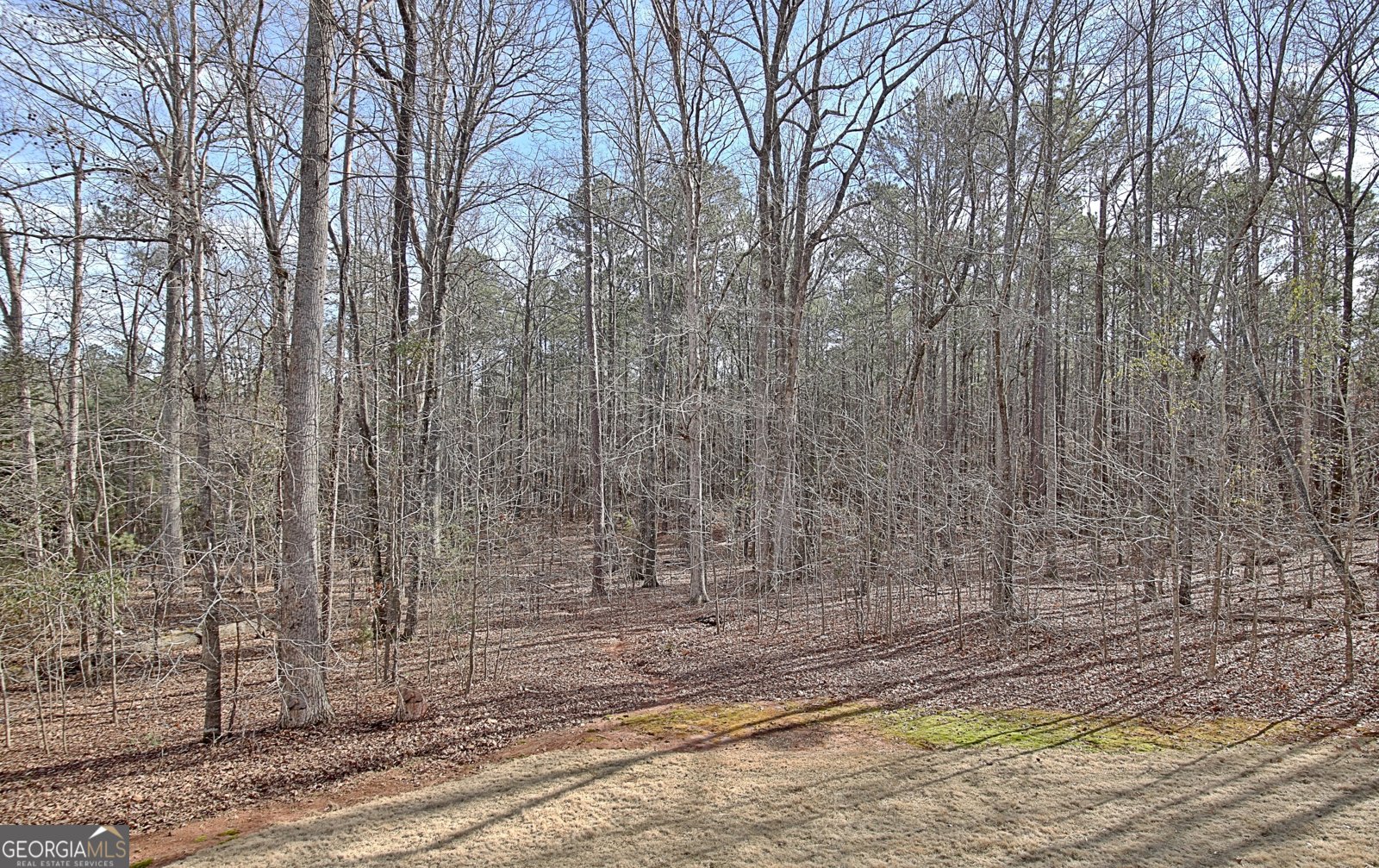 315 Antebellum Way Fayetteville - 37
