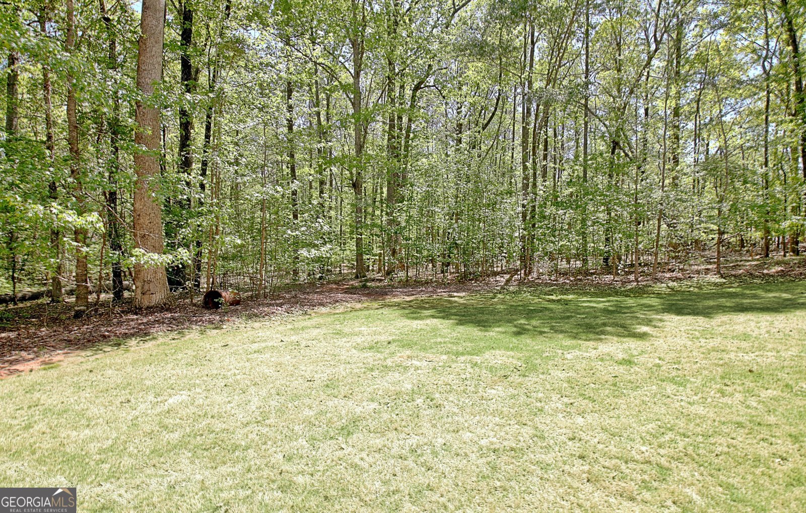 315 Antebellum Way Fayetteville - 83