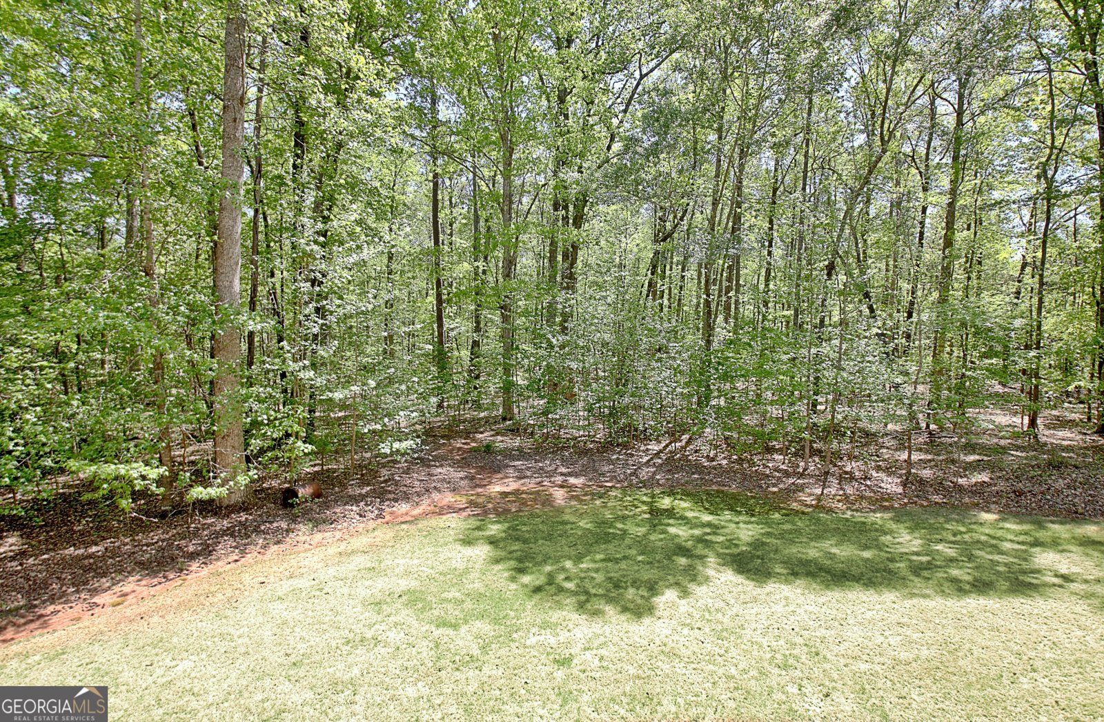 315 Antebellum Way Fayetteville - 84
