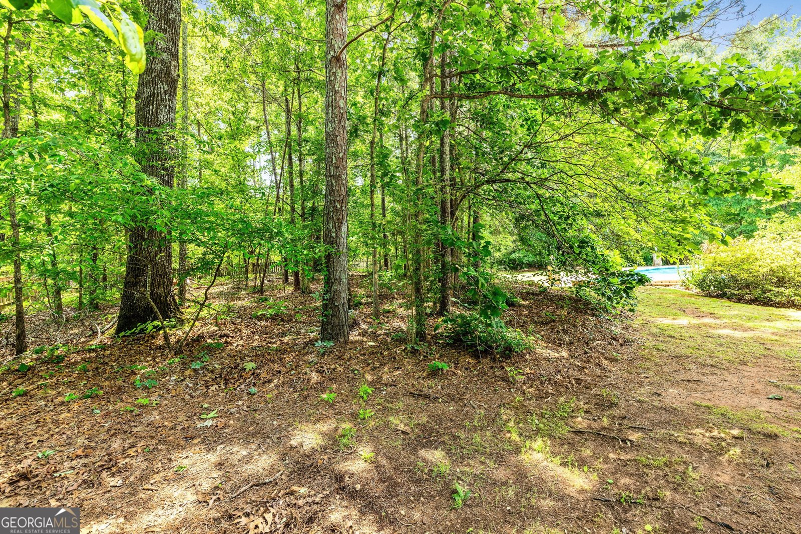 324 Chimney Sweep Circle Peachtree City - 14